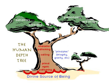 The Human Depth Tree